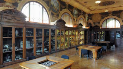 Museo delle Scienze Casartelli Museo delle Scienze Casartelli
